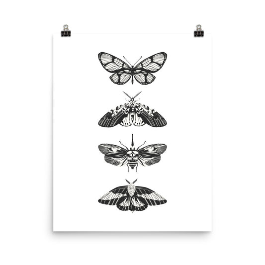 Black and white illustrations of moths on a white background